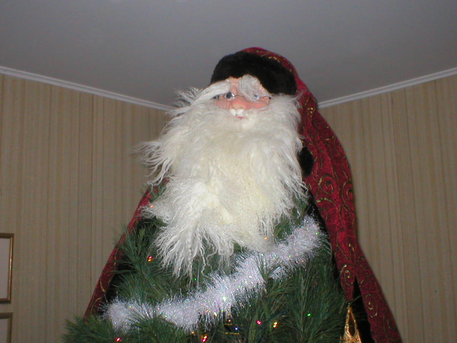 Tree2.jpg (105219 bytes)